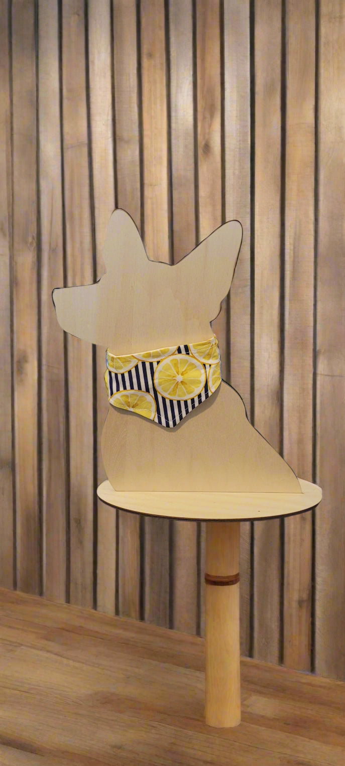 Dog Bandana