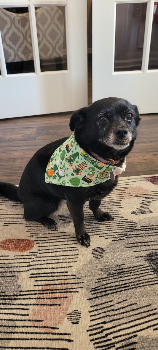 Dog Bandana